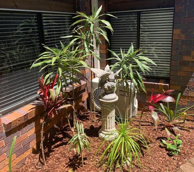 Montville Holiday Apartments 외부 사진